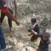 Jasad Elis ditemukan mengambang di parit tengah perkebunan di Desa Lapri. Dok.Polres Nunukan.