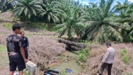 Sebuah pikap terjun ke sungai di Desa Salang, Tulin Onsoi. Satu orang tewas dalam kecelakaan tersebut. Dok.Polres Nunukan.
