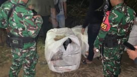 Satgas Pamtas RI - Malaysia Yonkav 13/SL mengamankan 5 karung ballpress selundupan asal Malaysia di perkebunan kelapa sawit Pulau Sebatik, Sabtu (25/10/2025). Dok.Penerangan Yonkav 13/SL.