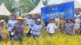 Danlanal Nunukan, Kolonel Laut (P) Primayantha Maulana Malik memimpin panen raya padi di Kampung Mansapa, Nunukan Selatan, Rabu (29/10/2025). Dok. Penerangan LANAL Nunukan.