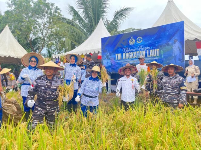 
					Danlanal Nunukan, Kolonel Laut (P) Primayantha Maulana Malik memimpin panen raya padi di Kampung Mansapa, Nunukan Selatan, Rabu (29/10/2025). Dok. Penerangan LANAL Nunukan.