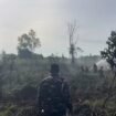Pasukan LANAL Nunukan diturunkan untuk membantu BPBD memadamkan kebakaran lahan di Mansapa, Selasa (21/10/2025).