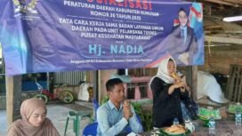 Anggota DPRD Nunukan, H.Nadia mensosialisasikan Peraturan Daerah (Perda) Nomor 26 Tahun 2025 tentang Tata Cara Kerjasama Badan Layanan Umum Daerah (BLUD) di Puskesmas. Rabu (8/10/2025) di Desa Aji Kuning, Sebatik. Dok.DPRD Nunukan.