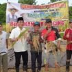 Anggota DPRD Nunukan, Muhammad Mansur menghadiri panen raya padi di RT. 03 Desa Persiapan Ujang Fatimah, Rabu (26/11/2025). Dok.Sekretariat DPRD Nunukan.