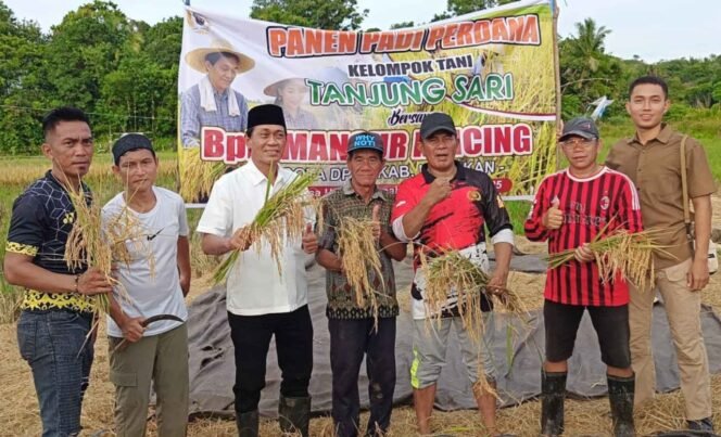 
					Anggota DPRD Nunukan, Muhammad Mansur menghadiri panen raya padi di RT. 03 Desa Persiapan Ujang Fatimah, Rabu (26/11/2025). Dok.Sekretariat DPRD Nunukan.