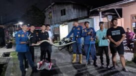 Petugas Damkar berhasil mengamankan ular sanca sepanjang 4 meter yang sempat melintang dan menakuti warga yang hendak melintas.