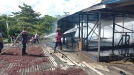 Sebuah rumah tinggal kawasan pesisir di Jalan Mulawarman, RT 04, Desa Bukit Aru Indah, Pulau Sebatik, Nunukan, Kalimantan Utara, ludes terbakar, Senin (8/12/2025). Dok.Disdamkar.