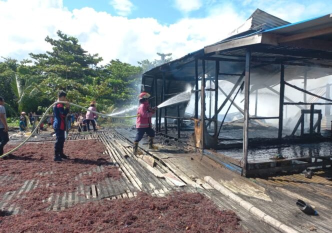 
					Sebuah rumah tinggal kawasan pesisir di Jalan Mulawarman, RT 04, Desa Bukit Aru Indah, Pulau Sebatik, Nunukan, Kalimantan Utara, ludes terbakar, Senin (8/12/2025). Dok.Disdamkar.