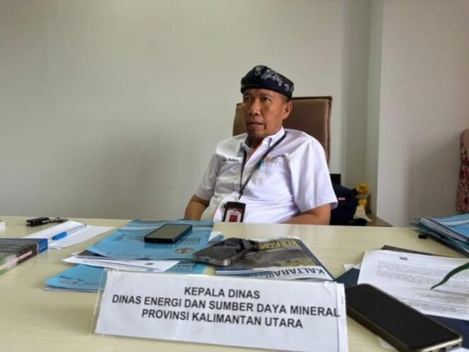 
					Kadis ESDM Kaltara, Yosua Batara Payangan. Dok.ESDM Kaltara.