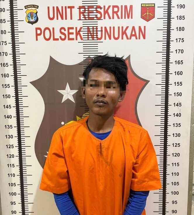 
					NF (22) residivis yang sudah 4 kali keluar masuk penjara kembali ditangkap polisi akibat mencuri di rumah warga Jalan Pasar Inhutani. Dok.Polsek Nunukan.