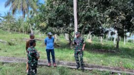 Dandim 0911/Nunukan, Letkol Inf.Tony Prasetyo saat meninjau lahan yang dihibahkan pengusaha Sebatik, Haji Nuwardi untuk pembangunan Koperasi Merah Putih. Dok.Penerangan Kodim 0911/Nunukan.