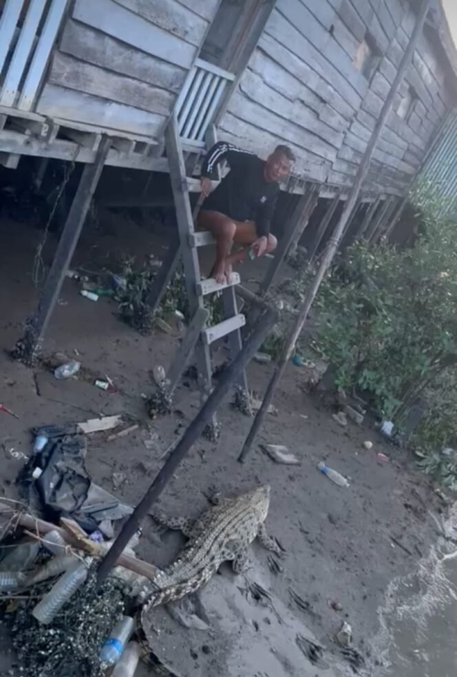 
					Ilustrasi : seorang warga pesisir Nunukan Selatan berfoto dengan buaya yang sering muncul di bwah kolong rumah. Dok.Kamarudin.