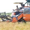 Bupati Nunukan, Irwan Sabri, membuka panen di persawahan Mansapa, Nunukan Selatan dengan combine harvester. Ia menegaskan dukungannya untuk ketahanan pangan, dan berjanji memenuhi kebutuhan dan menyelesaikan kendala dalam urusan pertanian. Dok.Prokopim Nunukan.