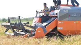 Bupati Nunukan, Irwan Sabri, membuka panen di persawahan Mansapa, Nunukan Selatan dengan combine harvester. Ia menegaskan dukungannya untuk ketahanan pangan, dan berjanji memenuhi kebutuhan dan menyelesaikan kendala dalam urusan pertanian. Dok.Prokopim Nunukan.