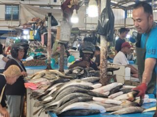 Ilustrasi : Aktifitas penjualan ikan di Pasar Tradisional Jamaker, Nunukan, Kaltara.