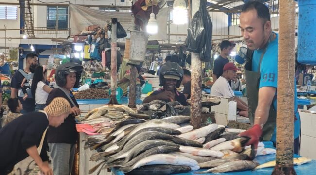 Ilustrasi : Aktifitas penjualan ikan di Pasar Tradisional Jamaker, Nunukan, Kaltara.
