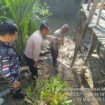 Petugas melihat lokasi serangan buaya terhadap Ismail, salah seorang nelayan warga Nunukan Selatan. Dok.Polres Nunukan.