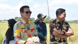 Bupati Nunukan, Irwan Sabri saat melihat langsung serapan BULOG terhadap gabah hasil panen petani Mansapa, Nunukan Selatan. Dok.Prokopim.