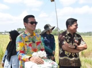 Bupati Nunukan, Irwan Sabri saat melihat langsung serapan BULOG terhadap gabah hasil panen petani Mansapa, Nunukan Selatan. Dok.Prokopim.
