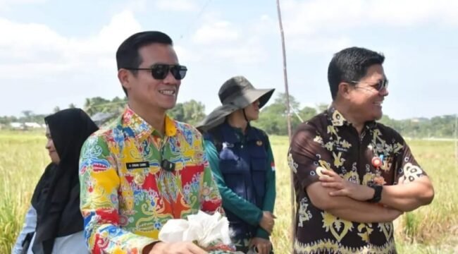 Bupati Nunukan, Irwan Sabri saat melihat langsung serapan BULOG terhadap gabah hasil panen petani Mansapa, Nunukan Selatan. Dok.Prokopim.