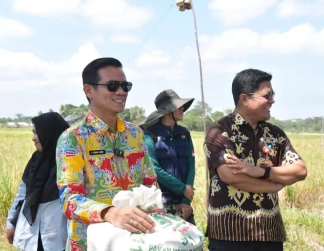 
					Bupati Nunukan, Irwan Sabri saat melihat langsung serapan BULOG terhadap gabah hasil panen petani Mansapa, Nunukan Selatan. Dok.Prokopim.