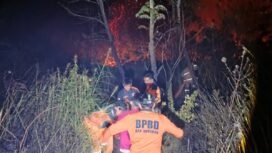Petugas BPBD berupaya memadamkan kebakaran lahan di Tanjung Cantik, Binusan, Senin (9/3/2026) malam. Dok.BPBD Nunukan.