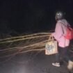 Seorang warga di Pulau Sebatik menyingkirkan ranting pohon yang menghalang jalan. Aksi palang jalan tersebut diduga dilakukan begal. 