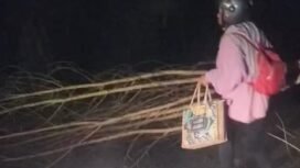 Seorang warga di Pulau Sebatik menyingkirkan ranting pohon yang menghalang jalan. Aksi palang jalan tersebut diduga dilakukan begal. 