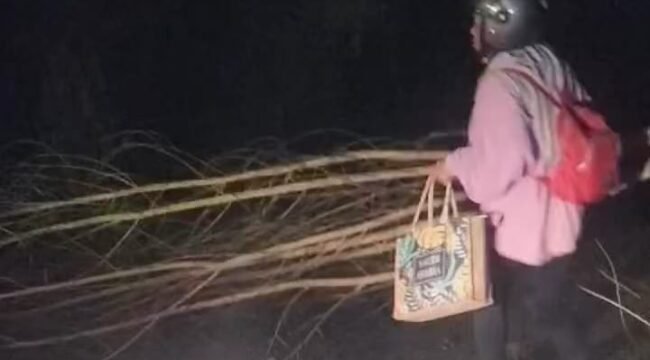 Seorang warga di Pulau Sebatik menyingkirkan ranting pohon yang menghalang jalan. Aksi palang jalan tersebut diduga dilakukan begal. 