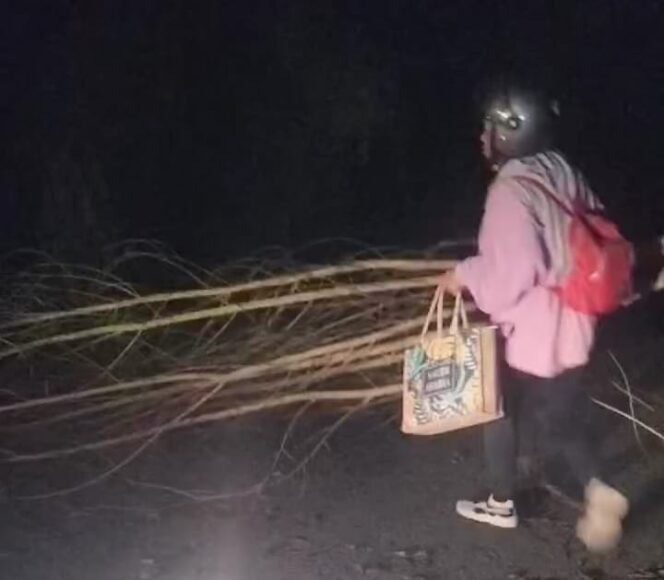 
					Seorang warga di Pulau Sebatik menyingkirkan ranting pohon yang menghalang jalan. Aksi palang jalan tersebut diduga dilakukan begal. 