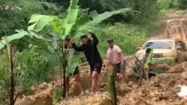 Masyarakat Krayan menanam padi dan pohon pisang di jalan utama Krayan sebagai bentuk protes atas kondisi jalanan mereka yang tak kunjung membaik. Dok.Gat Khaleb.