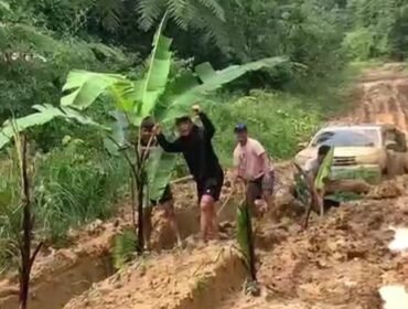 Masyarakat Krayan menanam padi dan pohon pisang di jalan utama Krayan sebagai bentuk protes atas kondisi jalanan mereka yang tak kunjung membaik. Dok.Gat Khaleb.