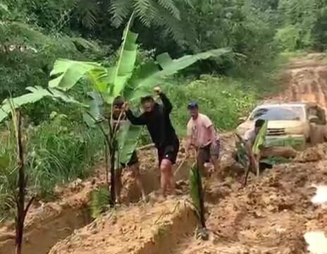 Masyarakat Krayan menanam padi dan pohon pisang di jalan utama Krayan sebagai bentuk protes atas kondisi jalanan mereka yang tak kunjung membaik. Dok.Gat Khaleb.