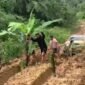 Masyarakat Krayan menanam padi dan pohon pisang di jalan utama Krayan sebagai bentuk protes atas kondisi jalanan mereka yang tak kunjung membaik. Dok.Gat Khaleb.