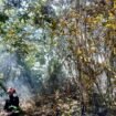 Salah seorang petugas BPBD Nunukan yang turut berjibaku memadamkan api saat kebakaran lahan terjadi. Dok.BPBD Nunukan.