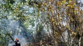 Salah seorang petugas BPBD Nunukan yang turut berjibaku memadamkan api saat kebakaran lahan terjadi. Dok.BPBD Nunukan.