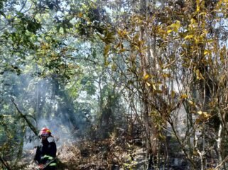 Salah seorang petugas BPBD Nunukan yang turut berjibaku memadamkan api saat kebakaran lahan terjadi. Dok.BPBD Nunukan.