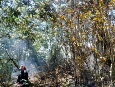 Salah seorang petugas BPBD Nunukan yang turut berjibaku memadamkan api saat kebakaran lahan terjadi. Dok.BPBD Nunukan.