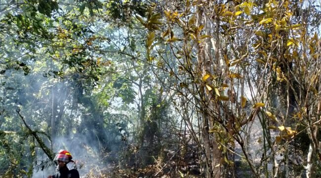 Salah seorang petugas BPBD Nunukan yang turut berjibaku memadamkan api saat kebakaran lahan terjadi. Dok.BPBD Nunukan.