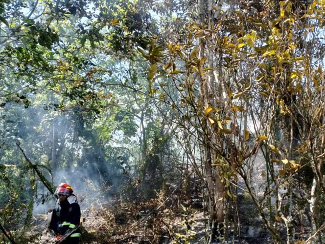 
					Salah seorang petugas BPBD Nunukan yang turut berjibaku memadamkan api saat kebakaran lahan terjadi. Dok.BPBD Nunukan.