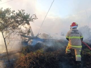 Aksi petugas Pemadam Kebakaran saat berupaya memadamkan kobaran api yang membakar lahan. Dok Disdamkar Nunukan.
