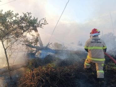 Aksi petugas Pemadam Kebakaran saat berupaya memadamkan kobaran api yang membakar lahan. Dok Disdamkar Nunukan.