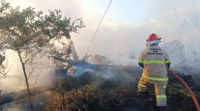 Aksi petugas Pemadam Kebakaran saat berupaya memadamkan kobaran api yang membakar lahan. Dok Disdamkar Nunukan.