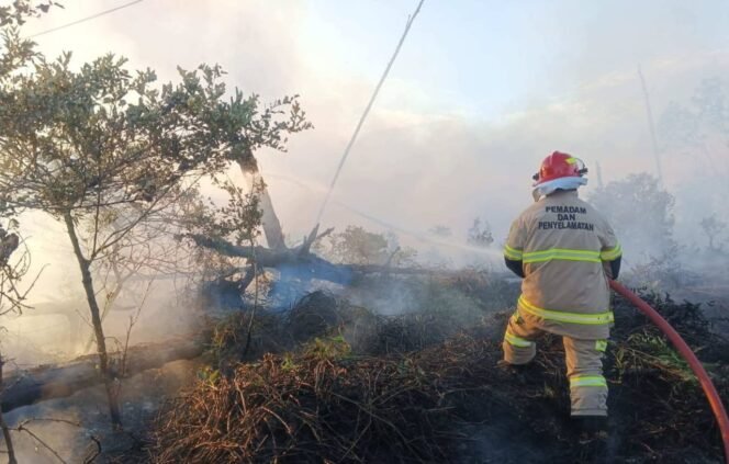 
					Aksi petugas Pemadam Kebakaran saat berupaya memadamkan kobaran api yang membakar lahan. Dok Disdamkar Nunukan.