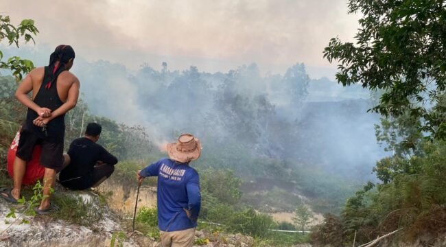 Karhutla di Mansapa Nunukan, Selatan, Sabtu (18/4/2026). Lebih 2 Ha lahan sejumlah warga hangus terbakar. Dok.BPBD Nunukan.