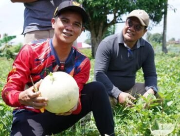 Bupati Nunukan, Irwan Sabri, mengunjungi kebun melon milik Bakri, warga Sungai Lancang, Kelurahan Tanjung Harapan, Nunukan Selatan, Sabtu (25/4/2026). Dok.Prokopim.