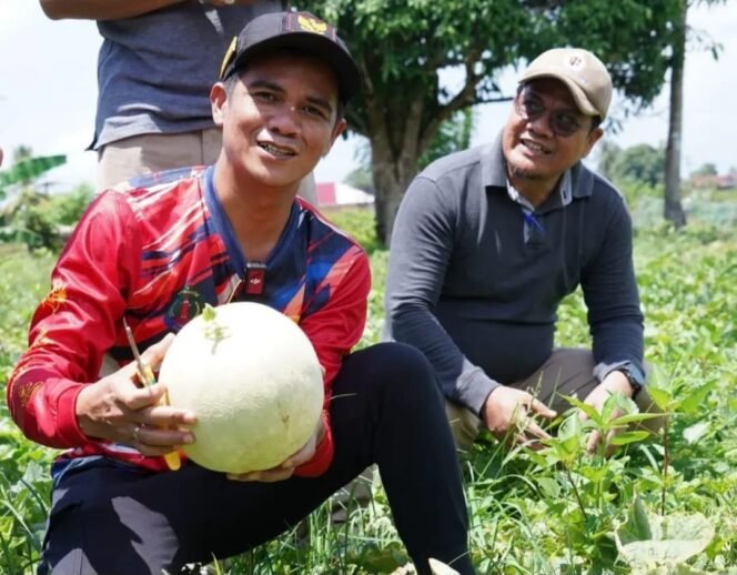 
					Bupati Nunukan, Irwan Sabri, mengunjungi kebun melon milik Bakri, warga Sungai Lancang, Kelurahan Tanjung Harapan, Nunukan Selatan, Sabtu (25/4/2026). Dok.Prokopim.