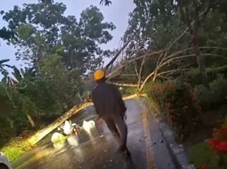 Pohon tumbang yang menewaskan pedagang sayur mayur di Nunukan Selatan, Minggu (12/4/2026) subuh. Dok.BPBD Nunukan.