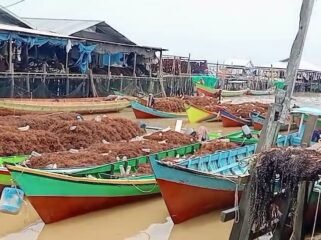 Sejumlah perahu nelayan yang dipenuhi hasil panen rumput laut di wilayah Mamolok, Nunukan Selatan. Dok.Kamaruddin.