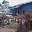 Gambaran kondisi salah satu rumah warga pulau Sebatik yang terdampak abrasi. Mereka selalu menancapkan kayu pagar pembatas dan tumpukan karung berisi pasir sebagai tanggul peredam ombak. Dok.Lisda.